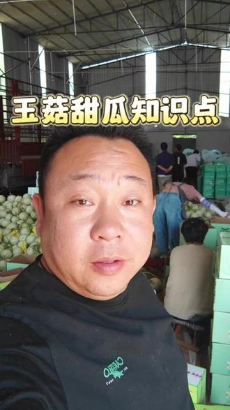 跟大家聊一聊玉菇甜瓜#新鲜应季水果 #玉菇甜瓜 #水果怎么挑选