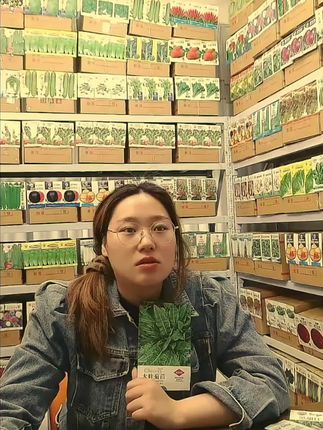 #【长豆角种子】特长小五叶长豇豆种子摘不败豆角豇豆菜园盆栽蔬菜@DOU+小助手