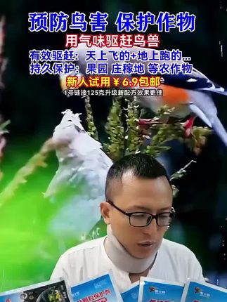 驱鸟好帮手