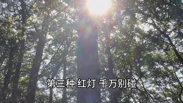 园区的纳税返还 #税务筹划