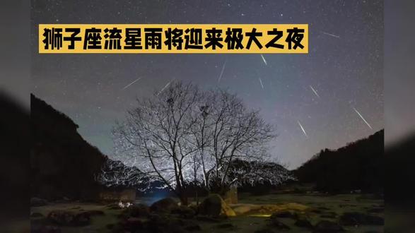 狮子座流星雨将迎来及大之夜