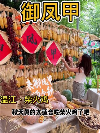 人均五十的柴火鸡还得是御凤甲!轻轻松松玩一天!太合适了! #晒秋 #成都 #成都美食 #柴火鸡 #御凤甲柴火鸡