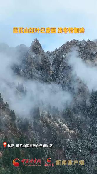 莲花山红叶已成画 浅冬恰如诗 #甘肃 #美景