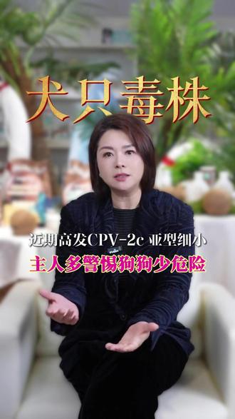 警惕这个新毒株,可能会要你家狗子的命!
#细小 #犬 #养狗 #宠物 #宠物界的王牌