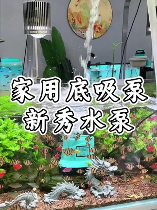 这鱼缸水泵该怎么选 这个性价比很高的定频水泵就很不错#新手养鱼 #养鱼日记