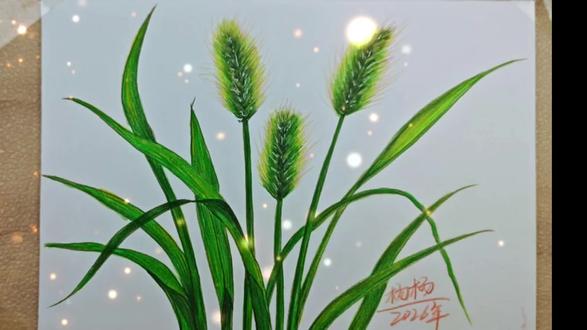 评论区一起学习哦!#画画教程视频 #创作者中心 #创作灵感 #狗尾巴草@DOU+小助手