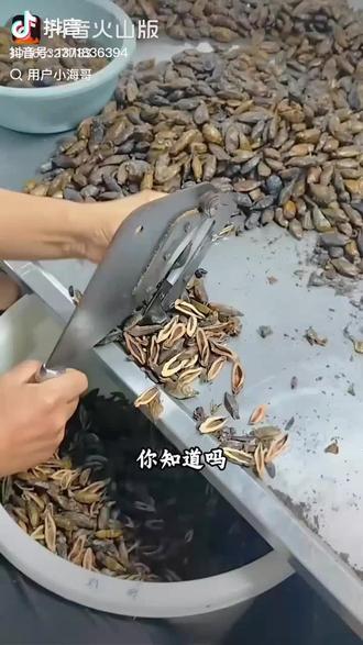 #养生知识 不要抽烟不要吃槟榔危害太大了