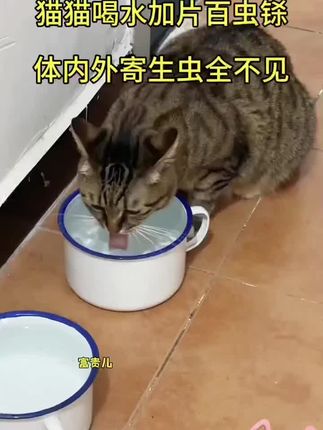 #万物皆可盘#李羲承符神颜#张予曦#旺仔小乔#赵露思