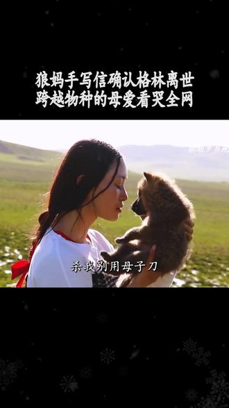 李微漪与格林,一场长达16年的母子告别。#格林 #李微漪 #人物故事 #重返狼群 #万物皆有灵性