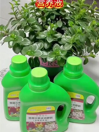 #植物营养液 #营养液 #好物分享