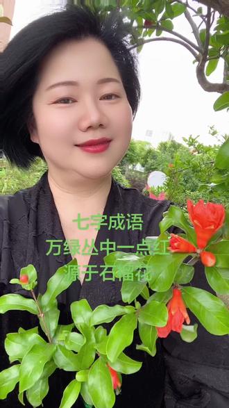 汉语成语 万绿丛中一点红 出处 原来出自咏石榴花 #宋代王安石的咏石榴花#唐诗宋词#推广普通话#中华传统优秀文化成语#南召融媒