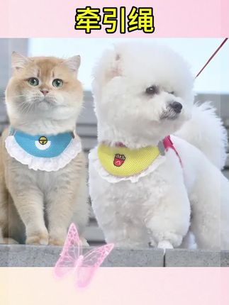 #牵引绳是狗的生命线 #牵引绳推荐 #牵引绳遛狗 猫狗通用防挣脱牵引绳可爱狗狗口水巾胸背带比熊外出遛狗绳#好物推荐#好物分享
