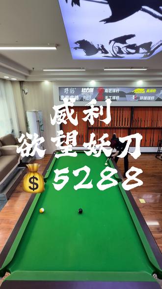 二手威利欲望妖刀测评#台球 #台球器材 #威利 #欲望妖刀 #郁金香