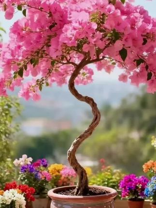 没有大富大贵,只有日夜陪伴,趁你还没长大,趁我还没变老,趁时光刚刚好,好好珍惜在一起的每一天#亲子