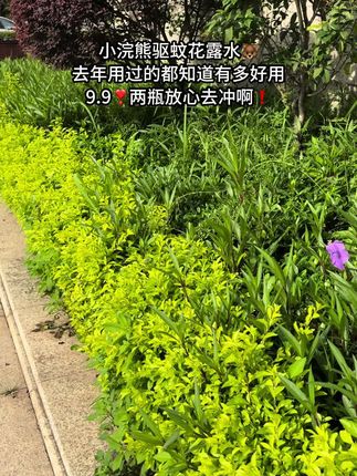 出门一定要备上#驱蚊花露水 这个小浣熊真的很好用,去年就一直在用的,往身上喷一喷,就能赶走,蚊子成分很温和,小宝宝都能用!现在9.9到手两瓶,趁划算赶紧囤#夏季必备 #母婴好物#这个夏天再也不怕蚊子了 #种草激励计划