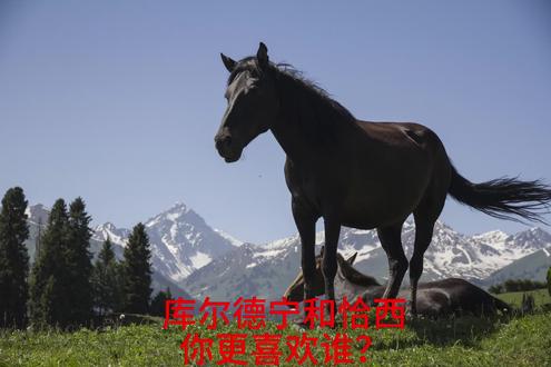 库尔德宁和恰西
你更喜欢谁?
0610 #库尔德宁 #恰西 #伊犁 #草原雪山