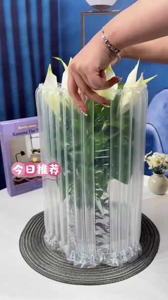 白掌又叫一帆风顺,它具有净化空气的作用,无论是厨房、卧室、客厅都可以养一盆。这款白掌可水培可土培,非常好养。而且它每开一朵花,就会寓意着增添一份运气。#栀子花 #室内绿植推荐 #好养的绿植 #净化空气绿植 #提升幸福感好物