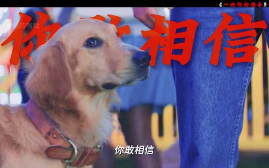 人的一生要经历太多离别,但狗狗不懂,它只想回到你身边 #电影解说