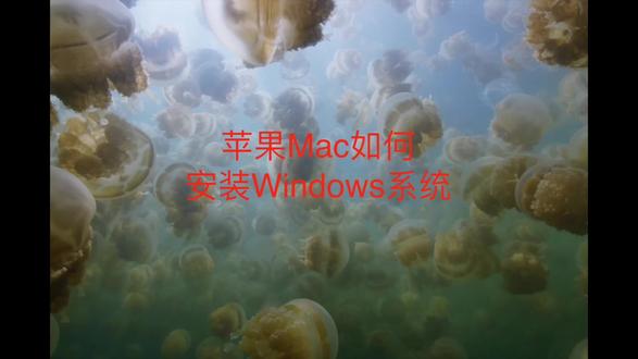 如何在Mac上一键安装Windows系统 苹果笔记本有很多软件安装不了,很多游戏安装不了,但是它又有其独特的魅力,如果我都要怎么办?装个Windows系统呗,一台电脑两用,真正的一键安装,缺点就是有点贵,但是我有解决办法,有需要的评论区留言。#Mac #苹果笔记本 #苹果笔记本电脑 #苹果安装双系统 #苹果笔记本使用技巧