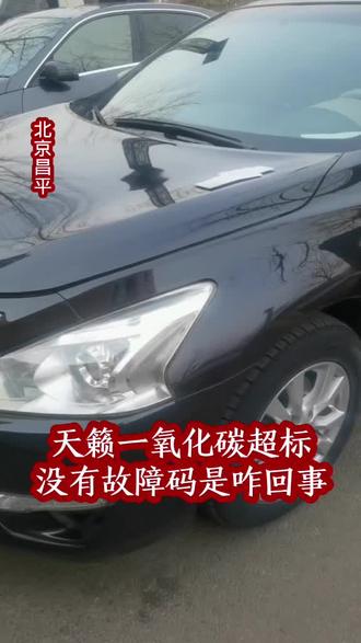 天籁一氧化碳超标 但是没有故障码是咋回事#尾气不合格 #尾气治理
