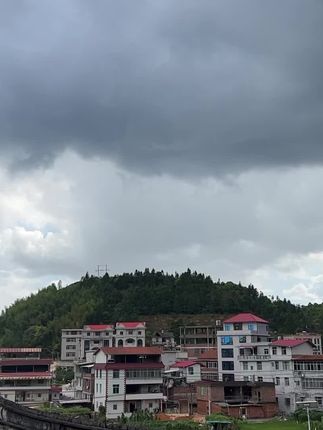 #茯苓膏 #茯苓膏的功效与作用 #茯苓膏的正确吃法