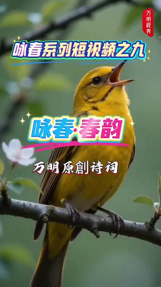 #原创诗词图文#诗词欣赏#咏春 #春韵
万明视界原创诗词《咏春·春韵》,以空灵之笔,写尽春日静美。
空山寂静,春花轻落,月色缓缓流淌;
一声莺啼掠过林间,清风拂面,悄然入梦里。
这是属于春天的温柔与安宁,
不喧哗、不张扬,只把最清雅的诗意,藏进岁月深处。
愿你在忙碌生活里,也能寻得这份清宁,心有清风,四季如春。
写春日空山之静、月色之柔、莺声之轻、清风之雅。
以极简笔墨,勾勒出清幽淡远的春日夜景,
传递出静心守己、自在安然的生活美学。
于喧嚣中守清寂,于繁华中觅安宁,
这便是春天赠予我们最温柔的诗意。@@简简单单