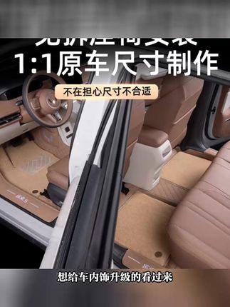 缤果S汽车脚垫