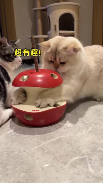 电动智能猫咪逗猫神器 #电动猫咪玩具 #智能逗猫神器 #猫咪自嗨玩具 #自动转盘逗猫 #小猫解闷神器