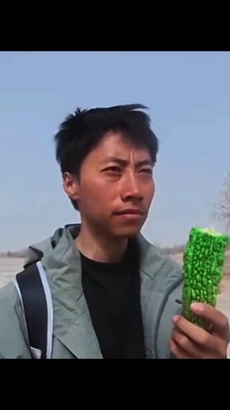 苦瓜又叫半生瓜,长大后味蕾退化,吃不出苦瓜的苦,说明半生已过 #旅行 #赵溯 #西藏