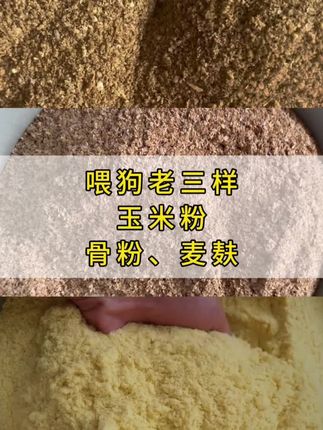 养狗省粮钱!“老三样”才是王炸:膨化玉米+麦麸+牛骨粉,高营养还护肠,狗狗吃得开心铲屎官放心#养狗老三样 #喂狗老三样 #膨化玉米粉#骨粉#麦麸