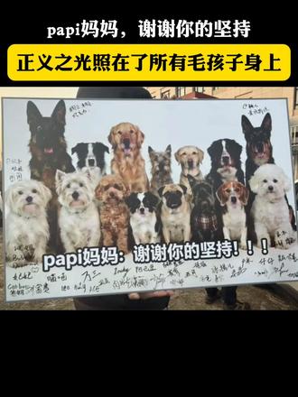 papi妈妈,谢谢你的坚持!北京首例宠物中毒案宣判,三年努力造就如今正义的光。#西高地papi妈妈#毛孩子#西高地papi案宣判#投毒