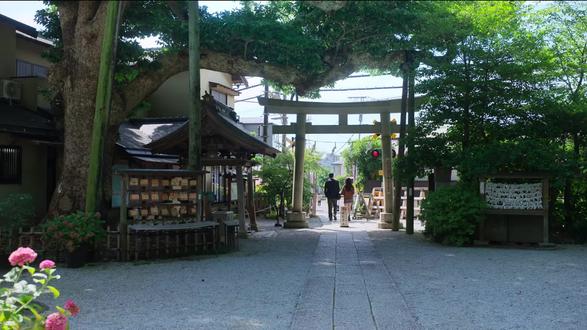 《爱情怎么翻译》 “世界上有多少人,就有多少种语言”#爱情怎么翻译 #韩剧 #高允真 #金宣虎