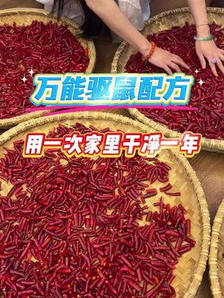 驱赶老鼠#驱鼠#驱老鼠#老鼠#家居必备#生活小妙招