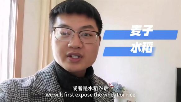 湖北农村藏的存粮狠活,稻子放10年还没生虫?秘诀就2个 A Hidden Grain Storage Trick in Hubei's Rural Areas: Rice Stays Pest-Free for 10 Years? Only 2 Secrets!#在拍一种很新的vlog #存粮方法
2019年被困在湖北隔离,常年不在湖北十堰老家住,家里种稻子还是20年前的记忆,家人到粮仓的稻子拿出来吃的时候,我很惊讶,传统的保存的方式可以保留这么久,分享给大家,口感稍稍像糙米,有一点点霉味,但是煮了好几次,味道说的过去。
#vlog
I was stranded in Hubei under quarantine in 2019. I haven’t lived in my hometown of Shiyan, Hubei for years—my last memory of the family planting rice goes back 20 years. So I was shocked when my family took out rice stored in the granary to eat. It’s amazing that traditional storage methods can keep it for so long. I want to share this with everyone: the texture is slightly like brown rice, with a faint musty smell, but after boiling it several times, the taste is acceptable.