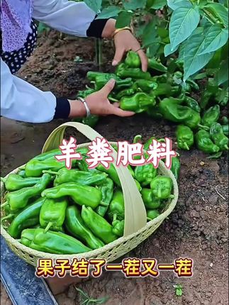尊重孩子也要有度,没有选择一味地尊重孩子,反而让孩子没有规矩。#尊重孩子的天性#家庭教育新思维#育儿经验分享#家长必看系列