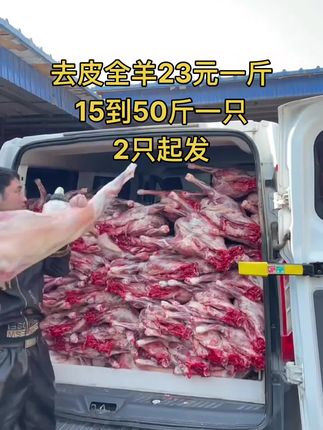 去皮全羊23元一斤，15到50斤一只，2只起发#全羊 #去皮全羊 #牛羊肉批发 #支持全国发货