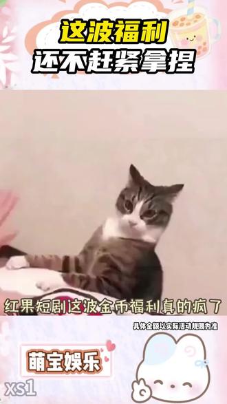 这波福利还不赶紧拿捏!#红果短剧 #你的短剧搭子