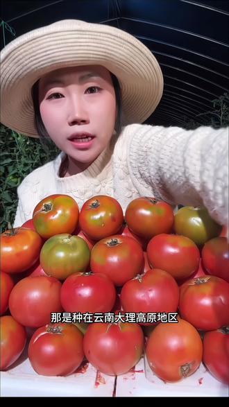 #这个春天真好吃 顺丰包邮 理由农场大理高原爆汁水果番茄 铁皮西红柿脆甜多汁柿子#柿子 #西红柿 #西红柿推荐 #水果番茄