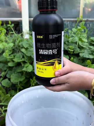 果树秋季清园就用#清园壹号#清园 #清园剂#果树清园 #果树管理