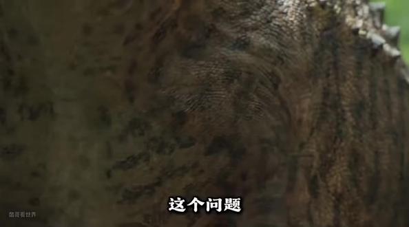 恐龙的前肢是干什么的🌚🌚🌚