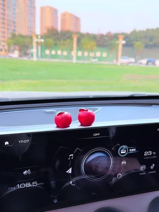 对象送的一对平安果,也太好看了吧#车内装饰小饰品 #装饰品摆件 #车载摆件