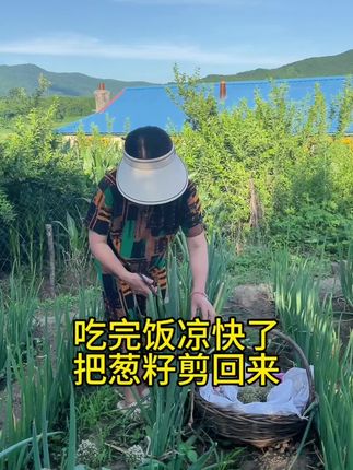 #分享日常生活#乡村风景 #田园生活