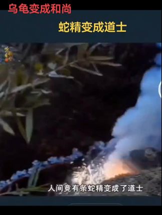 #精彩片段 #历史故事 #场面壮观