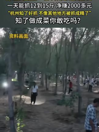 #头灯 户外头戴式头灯!#头灯