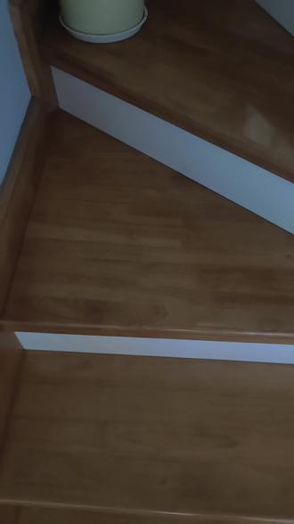 坐地炮,没救了#朱顶红 #阿弗雷