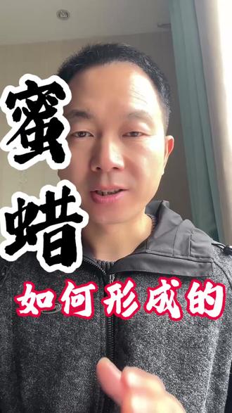 一分钟讲清楚蜜蜡如何形成的 #蜜蜡 #蜜蜡知识 #珠宝玉石