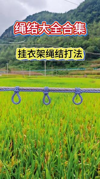 日常10种常用绳结打法 10种常用绳结打法合集 人人必备手艺 太实用了 一定要学 万一有用的的时候#绳结打法 #晾衣绳结 #生活小技巧小窍门