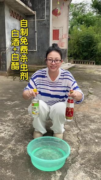 白酒+白醋,自制免费杀虫剂#真实生活分享计划 #种菜灭虫小技巧 #灭虫秘方 #种菜防虫方法 #自制除虫配方 @米芽小号