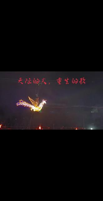 成都超级灯会之飞天凤凰 #灯会 #飞天凤凰 #成都 #音乐百花谷