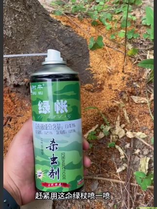 天牛幼虫啃食咱们的果树,可以用这个方法解决#天牛幼虫 #果树管理 #天牛 #果树种植 #种植小技巧